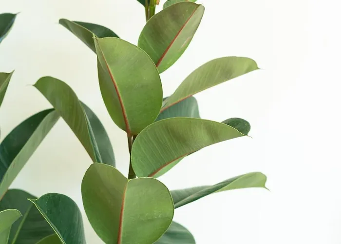 The Luminous By Lovely Memories - Pool Access Apartamento